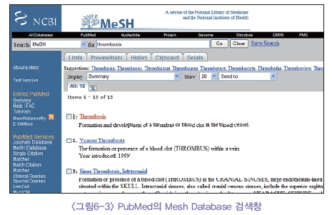 PunMed의 Mesh Database 검색창